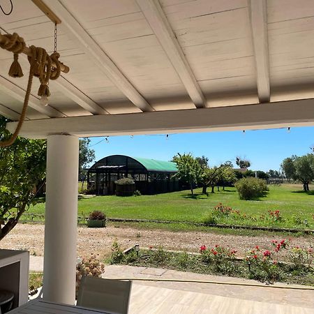 Villa Olga Tarquinia Luaran gambar