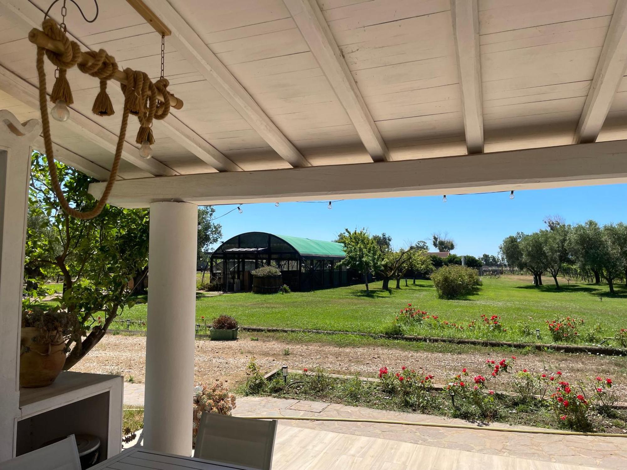 Villa Olga Tarquinia Luaran gambar